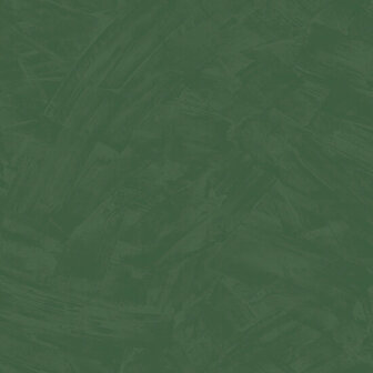 HookedOnWalls Silhouette Tadelakt Plain 34818 Groen Behang