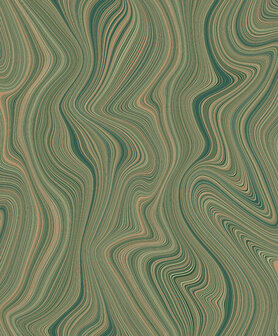 HookedOnWalls Silhouette Organic Lines 34854 Groen Behang