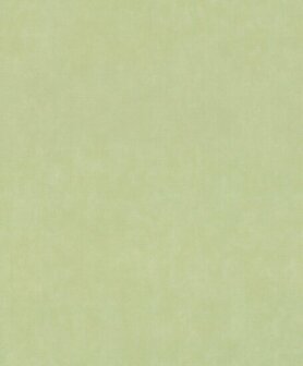 Rasch Paraiso - 330052 Groen Behang