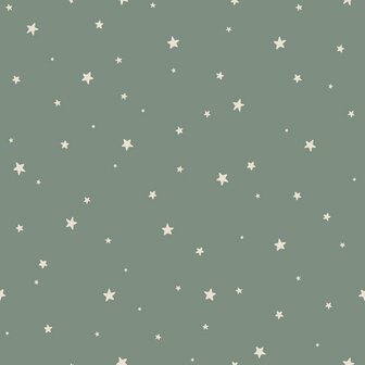 Esta Home Sterren 139689 Groen Blauw Behang