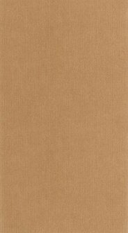 Caselio Damier DAI104992174 - Bruin Behang