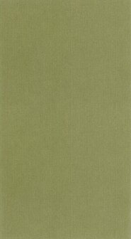 Caselio Damier DAI104997414 - Groen Behang