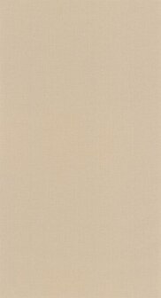 Caselio Outlines OTLS64522412 - Beige Behang