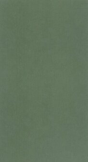 Caselio Outlines OTLS64524044 - Groen Behang