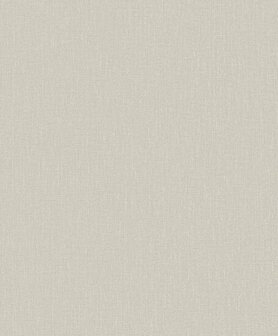 HookedOnWalls NEUTRALIZER 01 31608 Grijs Behang