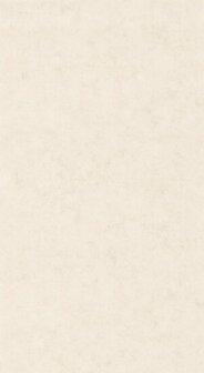 Caselio Beton 2 BTO101481002 - Beige Behang
