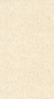 Caselio Beton 2 BTO101481123 - Beige Behang