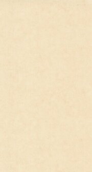 Caselio Beton 2 BTO101481247 - Beige Behang