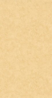 Caselio Beton 2 BTO101481515 - Beige Behang