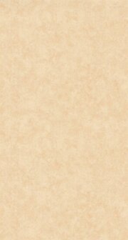 Caselio Beton 2 BTO101481674 - Beige Behang