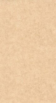 Caselio Beton 2 BTO101482446 - Beige Behang
