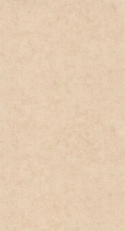 Caselio Beton 2 BTO101482551 - Beige Behang