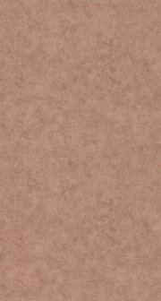 Caselio Beton 2 BTO101482666 - Bruin Behang
