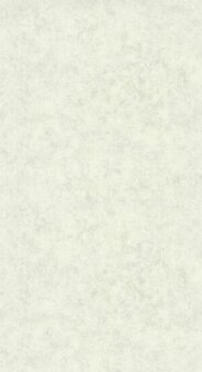 Caselio Beton 2 BTO101487140 - Groen Behang