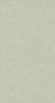 Caselio Beton 2 BTO101487270 - Groen Behang