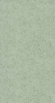 Caselio Beton 2 BTO101487332 - Groen Behang