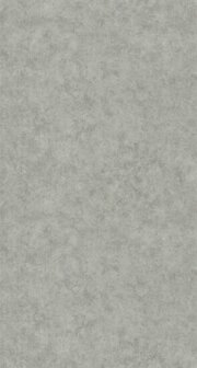 Caselio Beton 2 BTO101489243 - Grijs Behang