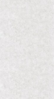 Caselio Beton 2 BTO101489301 - Grijs Behang