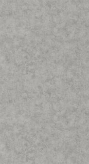 Caselio Beton 2 BTO101489550 - Grijs Behang