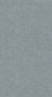 Caselio Beton 2 BTO101489578 - Grijs Behang