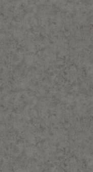 Caselio Beton 2 BTO101489750 - Grijs Behang