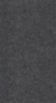 Caselio Beton 2 BTO101489899 - Zwart Behang