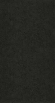 Caselio Beton 2 BTO101489949 - Zwart Behang