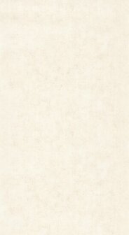 Caselio Beton 2 BTO101491019 - Beige Behang