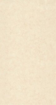 Caselio Beton 2 BTO101491460 - Beige Behang