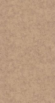 Caselio Beton 2 BTO101493230 - Bruin Behang