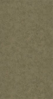 Caselio Beton 2 BTO101497509 - Groen Behang