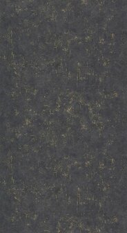 Caselio Beton 2 BTO101499125 - Zwart Behang