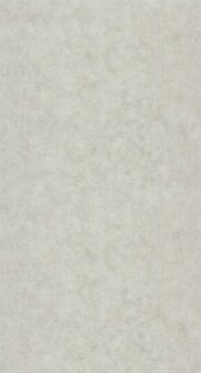 Caselio Beton 2 BTO101499267 - Grijs Behang