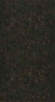 Caselio Beton 2 BTO101499390 - Zwart Behang