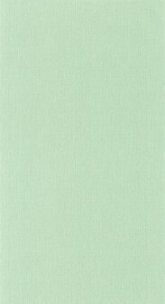 Caselio Natt&eacute; NAE101567001 - Groen Behang