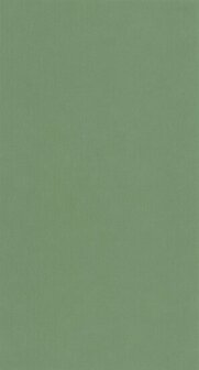 Caselio Flower Power FLP64527170 - Groen Behang