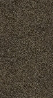 Caselio Sea You Soon SYO101739024 - Zwart Behang