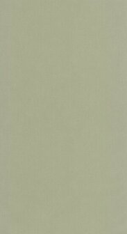 Caselio Sea You Soon SYO64527210 - Groen Behang
