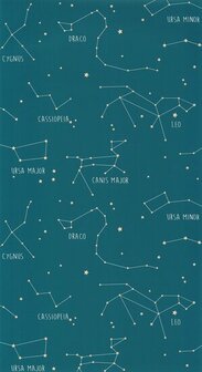 Caselio Our Planet OUP101916003 - Blauw Behang