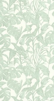 Caselio Green &amp; Co GCO103870788 - Groen Behang