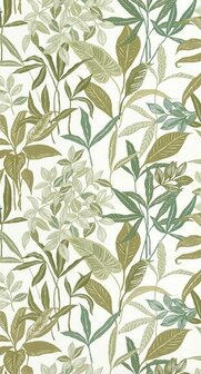 Caselio Green &amp; Co GCO103850223 - Groen Behang