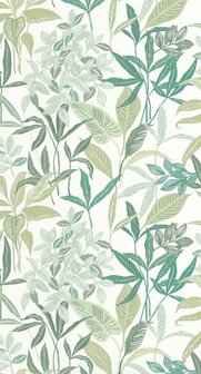Caselio Green &amp; Co GCO103850788 - Groen Behang