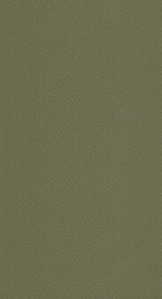 Caselio L&#039;Epopee EPO103737051 - Groen Behang