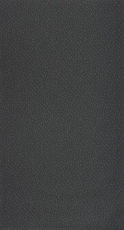 Caselio L&#039;Epopee EPO103739095 - Zwart Behang