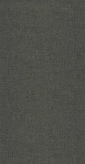 Caselio XXL XXL103239022 - Zwart Behang