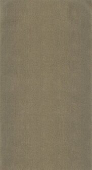 Caselio Moonlight 2 MLGT101579120 - Zwart Behang
