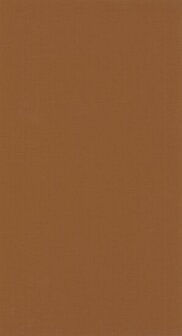 Caselio Moonlight 2 MLGT103762497 - Bruin Behang