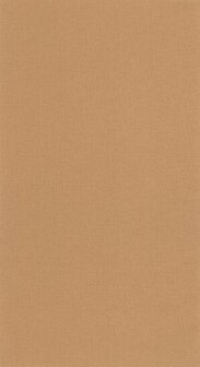 Caselio Basics BAI64522578 - Bruin Behang