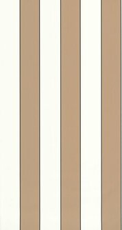 Caselio Basics BAI101070217 - Bruin Behang
