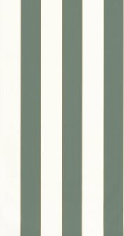 Caselio Basics BAI101077144 - Groen Behang